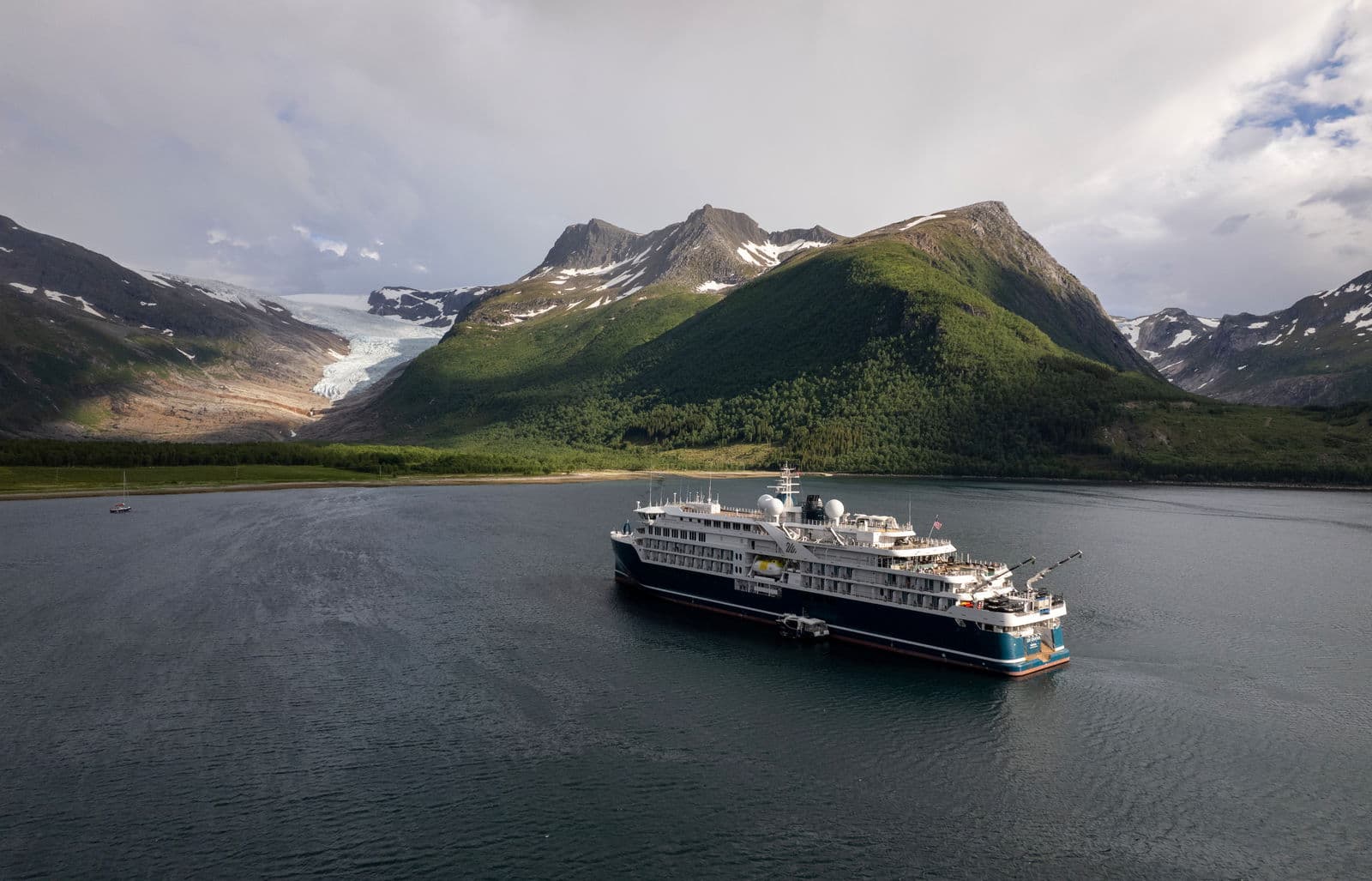 Penguins in Antarctica